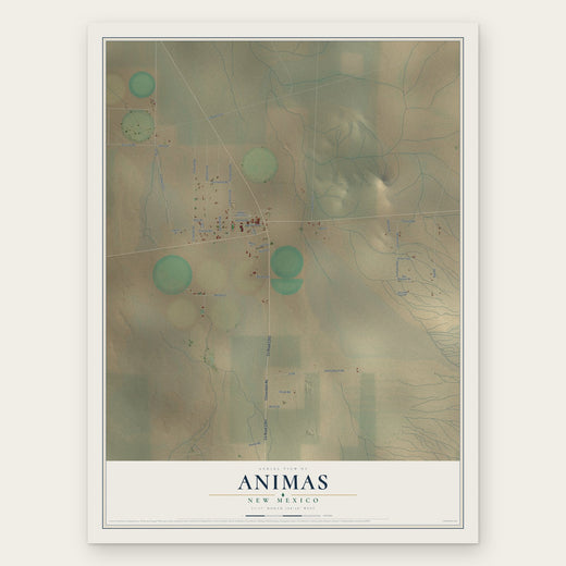 Animas, New Mexico map print, the full design