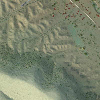 Close-up of the map of Buckhorn, New Mexico print showing street and building detail