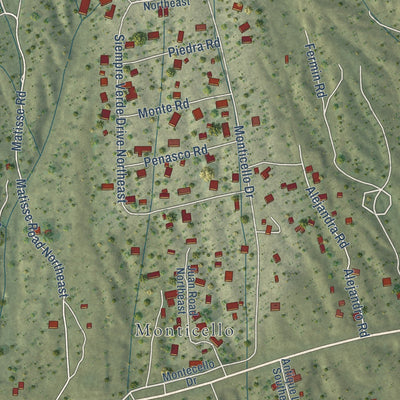 Close-up of the map of Carnuel, New Mexico print showing street and building detail