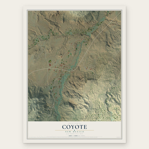 Coyote, New Mexico map print, the full design