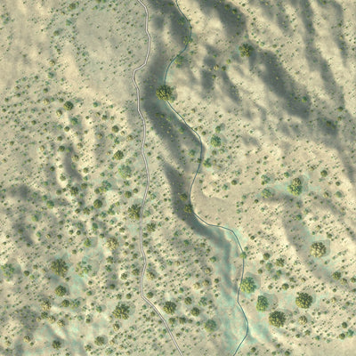 Close-up of the map of Coyote, New Mexico print showing street and building detail