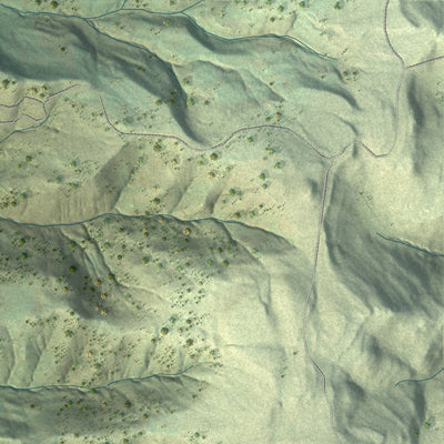 Close-up of the map of Holman, New Mexico print showing street and building detail