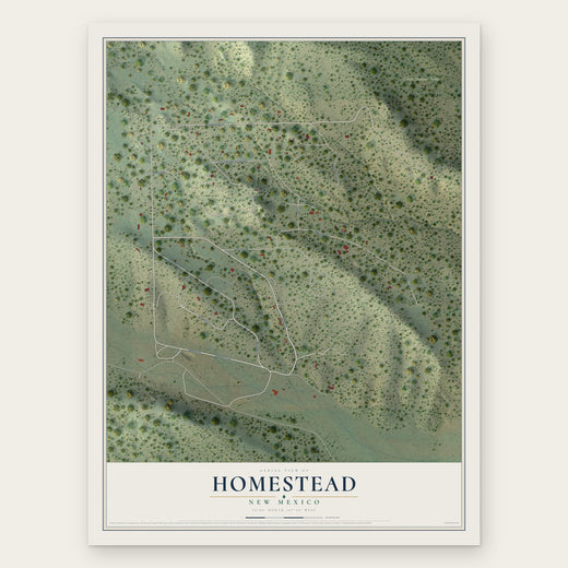 Homestead, New Mexico map print, the full design
