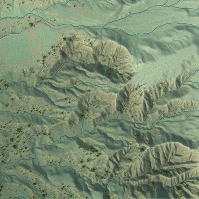 Close-up of the map of La Jara, New Mexico print showing street and building detail