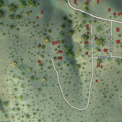 Close-up of the map of Lake Roberts, New Mexico print showing street and building detail