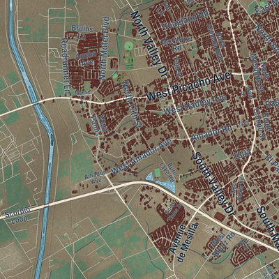 Close-up of the map of Las Cruces, New Mexico print showing street and building detail