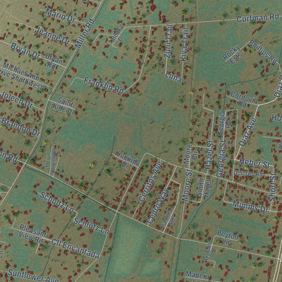 Close-up of the map of Los Chaves, New Mexico print showing street and building detail