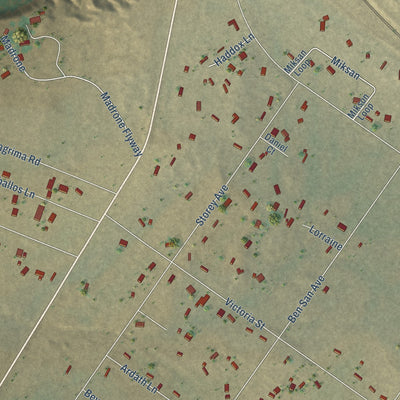Close-up of the map of Madrone, New Mexico print showing street and building detail