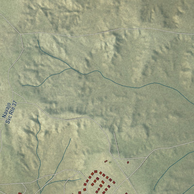 Close-up of the map of Nakaibito, New Mexico print showing street and building detail