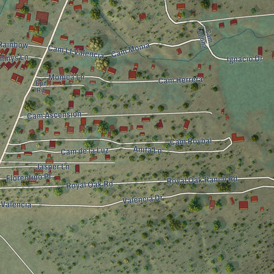 Second close-up of the map of Pecos, New Mexico print showing more streets and buildings