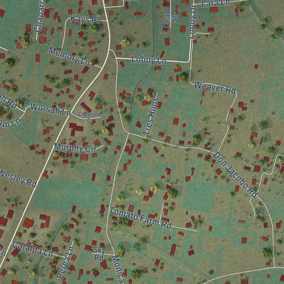 Close-up of the map of Peralta, New Mexico print showing street and building detail