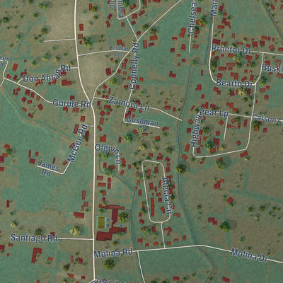 Second close-up of the map of Peralta, New Mexico print showing more streets and buildings