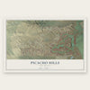 Picacho Hills, New Mexico map print, the full design