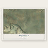 Pinedale, New Mexico map print, the full design