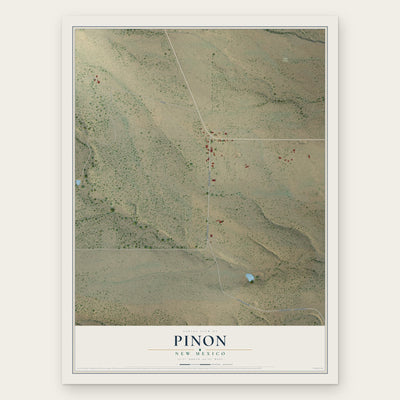 Pinon, New Mexico map print, the full design