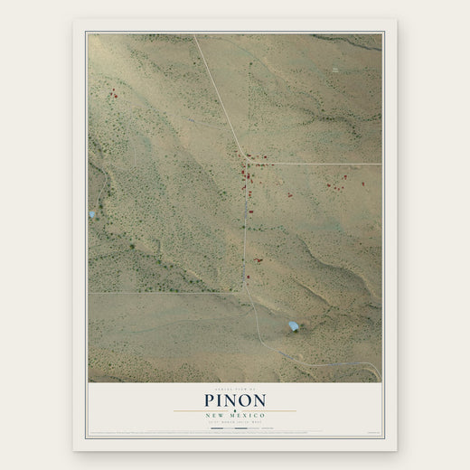Pinon, New Mexico map print, the full design