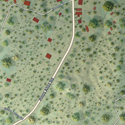 Close-up of the map of Pinos Altos, New Mexico print showing street and building detail