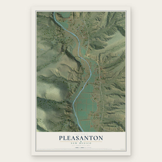 Pleasanton, New Mexico map print, the full design