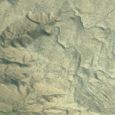 Close-up of the map of Ponderosa, New Mexico print showing street and building detail
