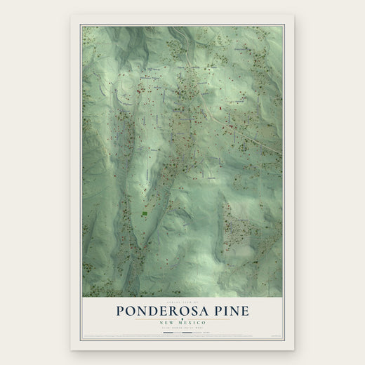 Ponderosa Pine, New Mexico map print, the full design