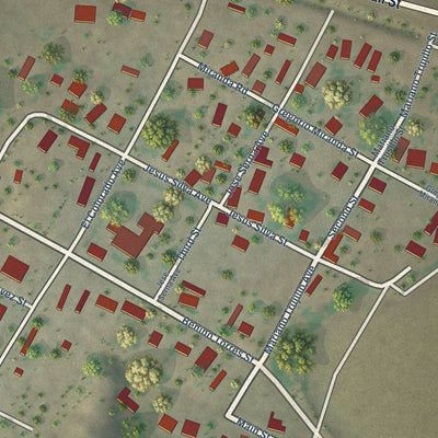 Close-up of the map of Rodey, New Mexico print showing street and building detail