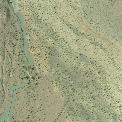 Close-up of the map of San Fidel, New Mexico print showing street and building detail