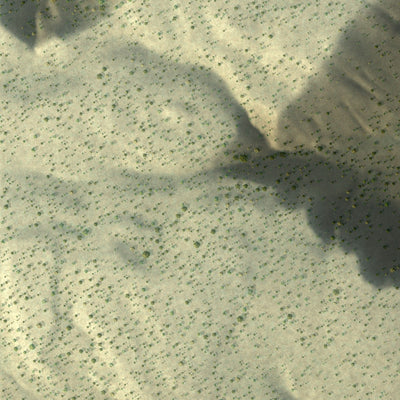 Close-up of the map of Sena, New Mexico print showing street and building detail