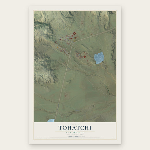 Tohatchi, New Mexico map print, the full design