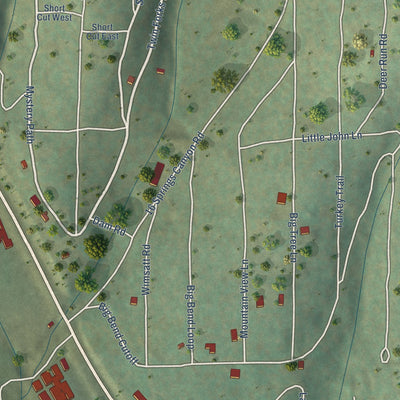Close-up of the map of Twin Forks, New Mexico print showing street and building detail