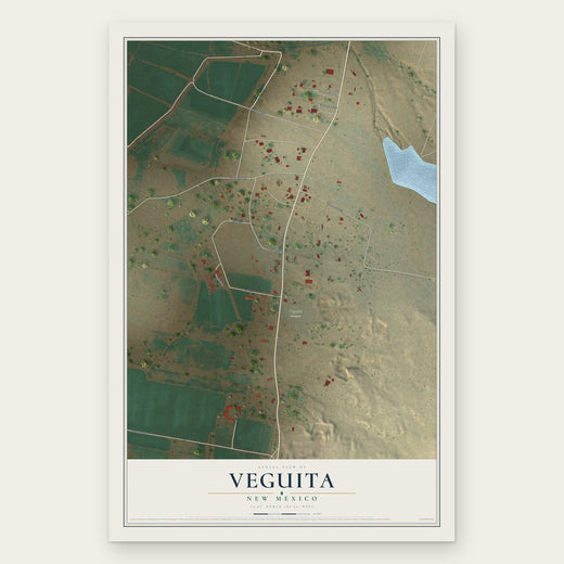 Veguita, New Mexico map print, the full design