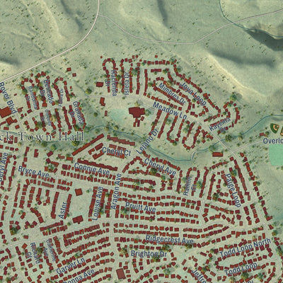 Close-up of the map of White Rock, New Mexico print showing street and building detail