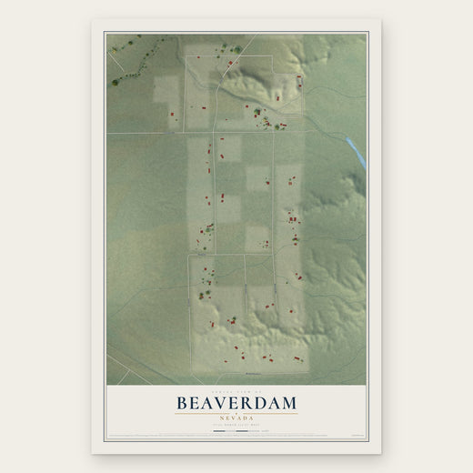 Beaverdam, Nevada map print, the full design