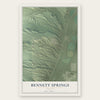 Bennett Springs, Nevada map print, the full design