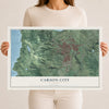 Map of Carson City, Nevada, 12 x 18 inch unframed archival matte print