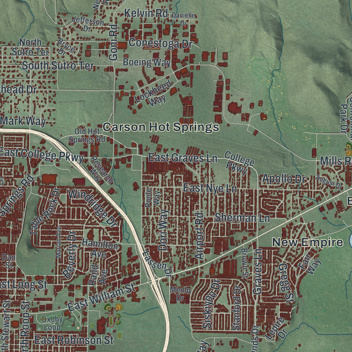 Close-up of the map of Carson City, Nevada print showing street and building detail