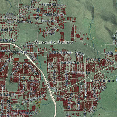 Close-up of the map of Carson City, Nevada print showing street and building detail