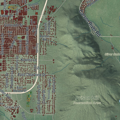 Second close-up of the map of Carson City, Nevada print showing more streets and buildings