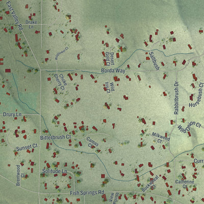 Close-up of the map of East Valley, Nevada print showing street and building detail