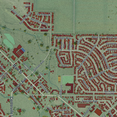 Close-up of the map of Gardnerville, Nevada print showing street and building detail