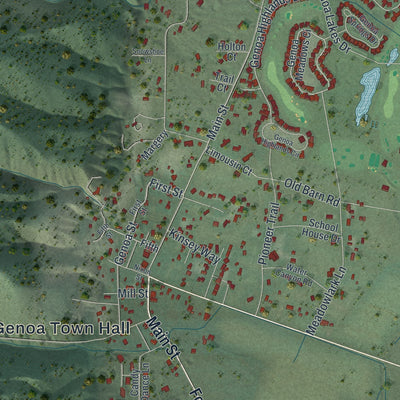 Close-up of the map of Genoa, Nevada print showing street and building detail