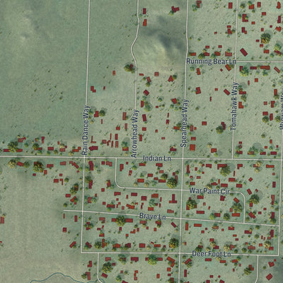 Close-up of the map of Golden Valley, Nevada print showing street and building detail