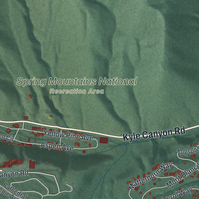 Close-up of the map of Mount Charleston, Nevada print showing street and building detail