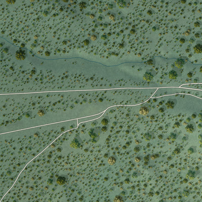 Close-up of the map of Mount Wilson, Nevada print showing street and building detail