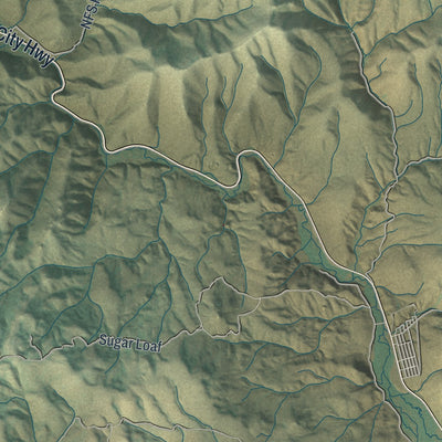 Close-up of the map of Owyhee, Nevada print showing street and building detail