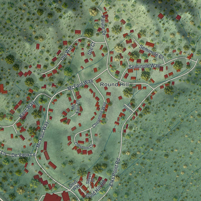 Close-up of the map of Round Hill Village, Nevada print showing street and building detail