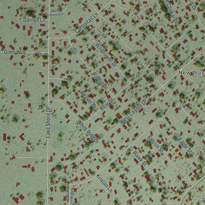 Close-up of the map of Washoe Valley, Nevada print showing street and building detail
