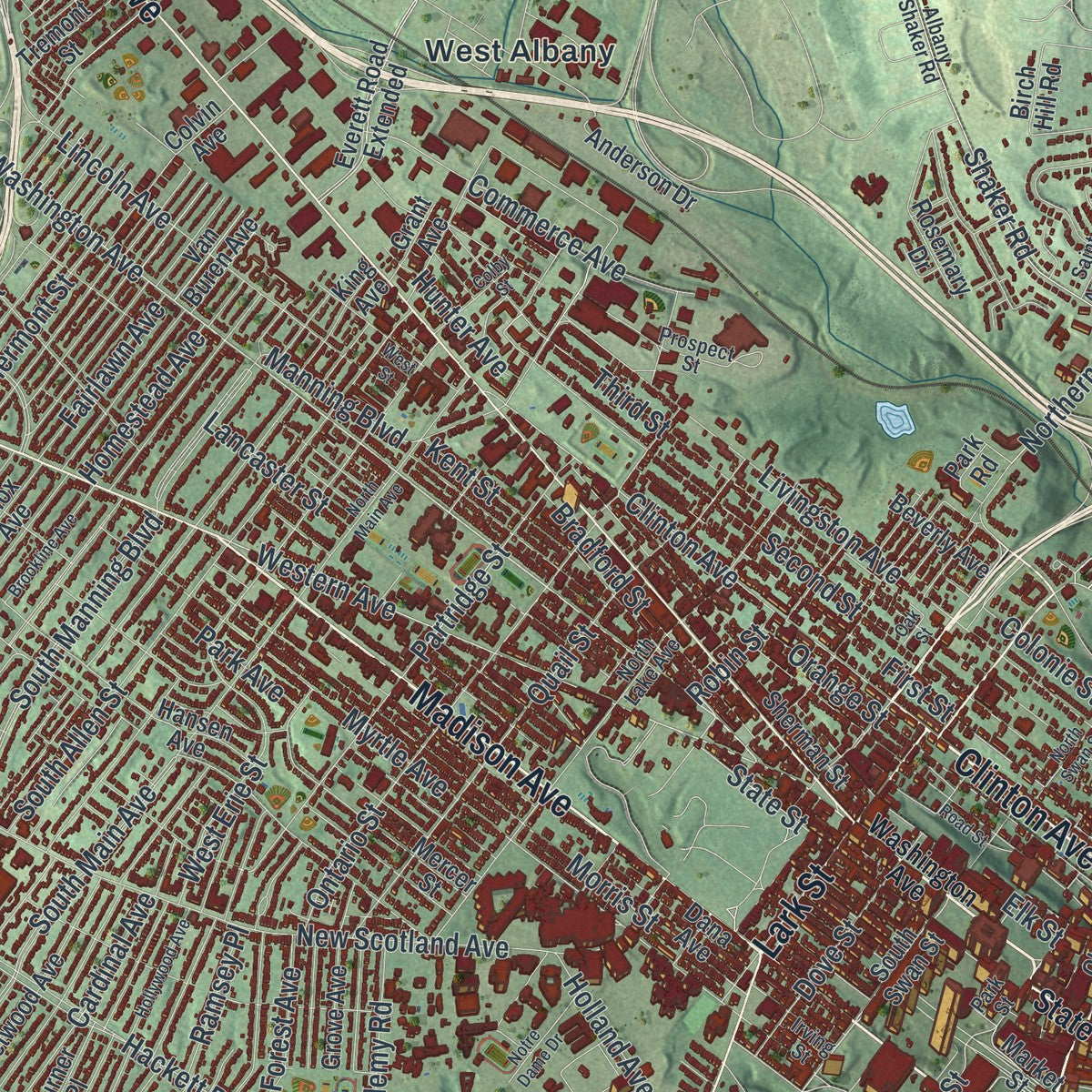 Close-up 1 of the Albany, New York map artwork