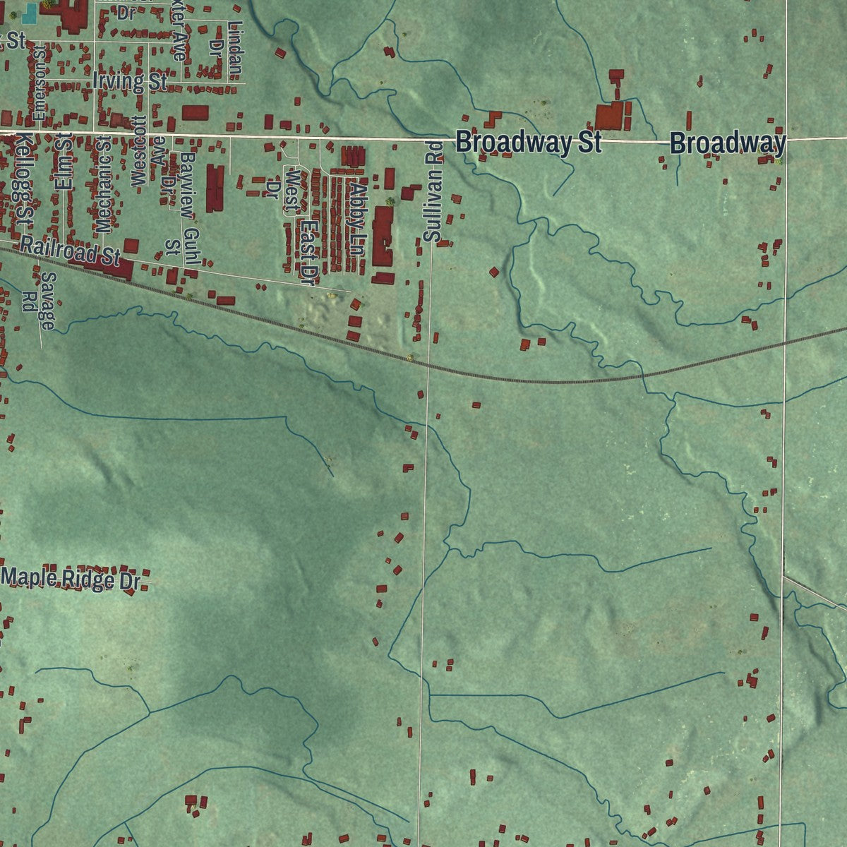 Close-up 1 of the Alden, New York map artwork