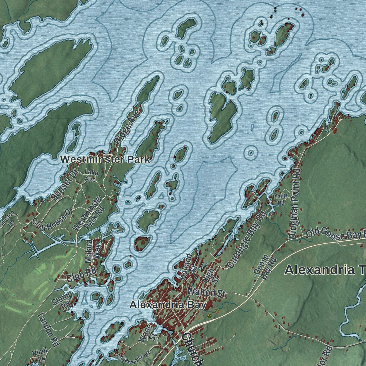 Close-up 1 of the Alexandria, New York map artwork