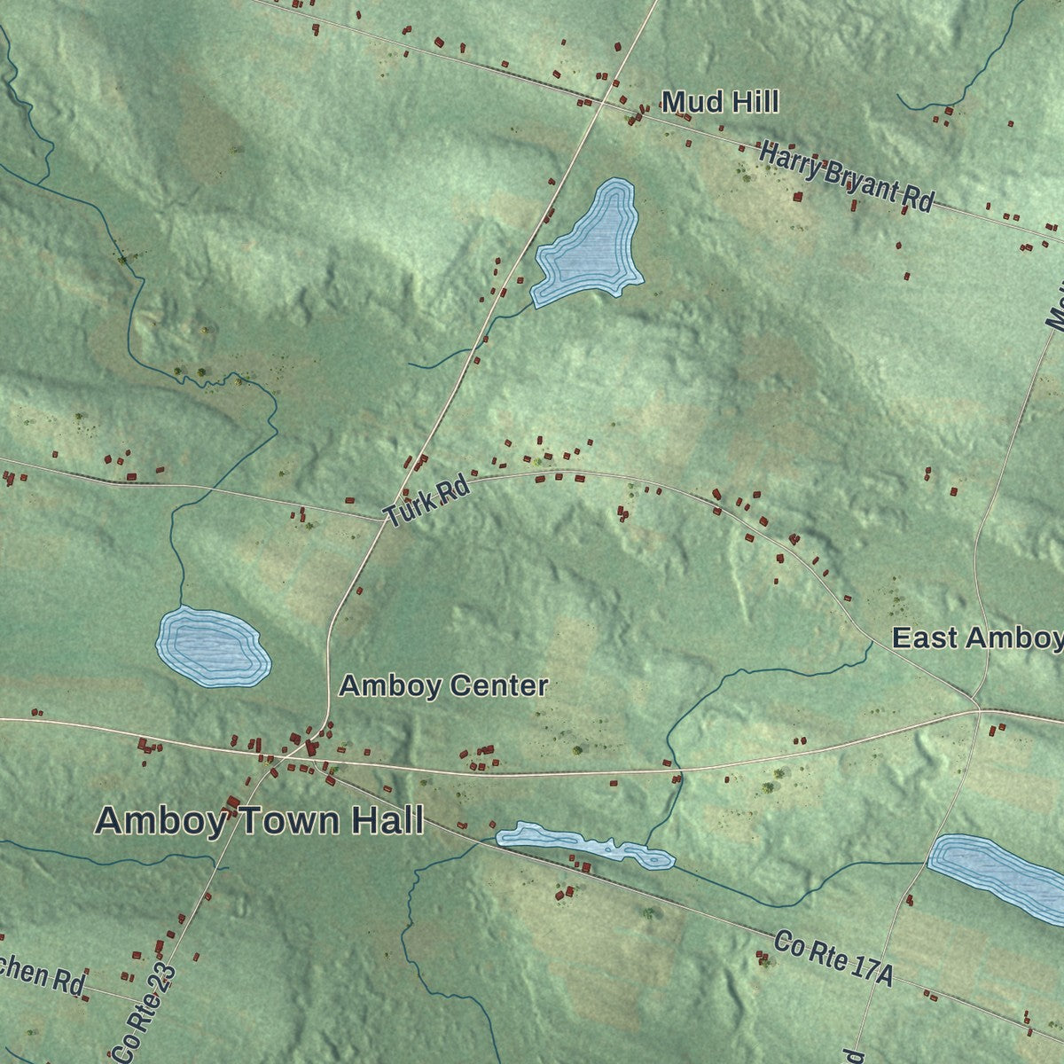 Close-up 2 of the Amboy, New York map artwork